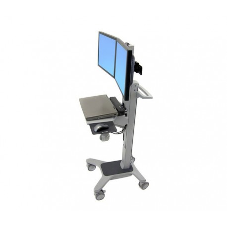 Ergotron Dual WideView WorkSpace