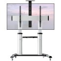 Techly TR24 - Wózek do TV 60-100", max. 100 kg. Regulacja wys. 120-165 cm