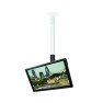 B-Tech BT7553 - Uchwyt do monitora 17-32" dł. 50 cm. Mocowanie do blatu lub sufitu