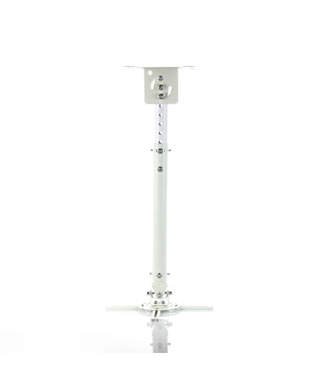 NBT718-4(white)