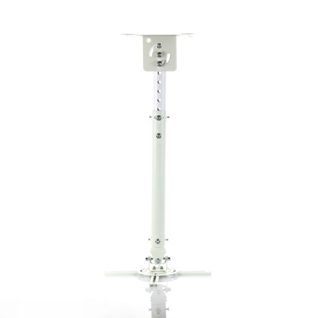 NBT718-4(white)