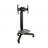 Ergotron LD Mobile MediaCenter